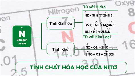 tính chất hóa học nitô n